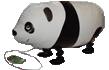 Panda Panda
