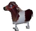 Poni Poni